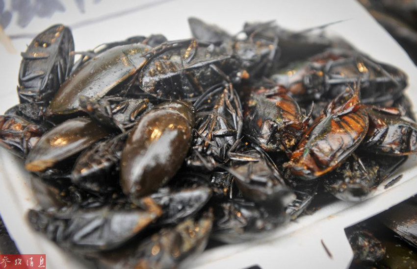 ?? ??? ??, ‘???’ ? ??? ?? ??