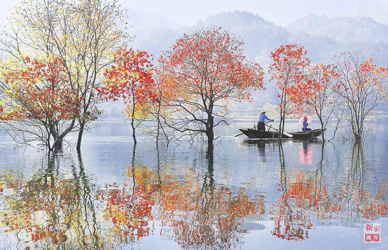 ?? ?? ??? ??? ???? ?? ??