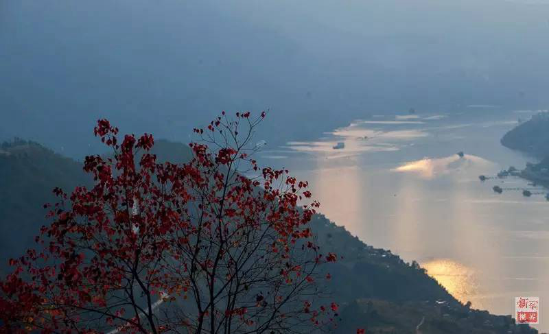 ?? ?? ??? ??? ???? ?? ??