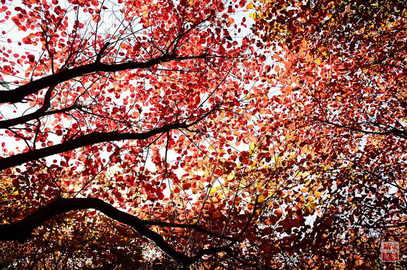 ?? ?? ??? ??? ???? ?? ??