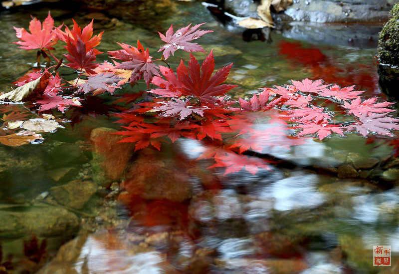 ?? ?? ??? ??? ???? ?? ??