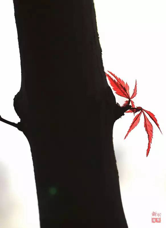 ?? ?? ??? ??? ???? ?? ??