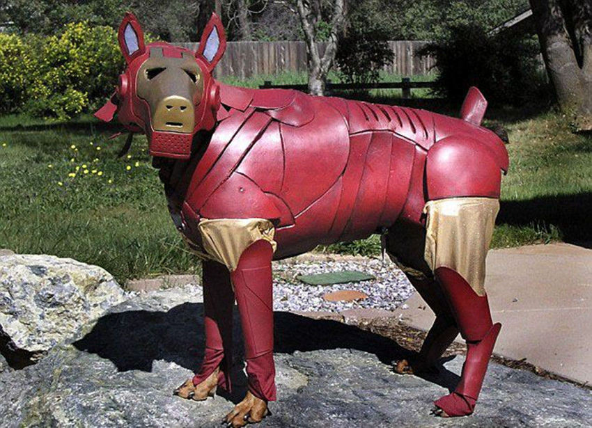 ???? ???? ??? ?, ‘?? ??’