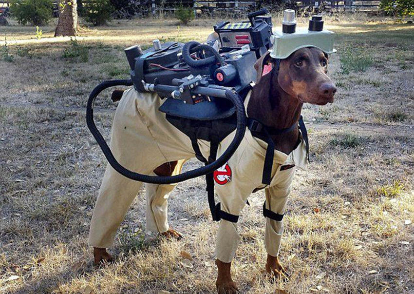 ???? ???? ??? ?, ‘?? ??’