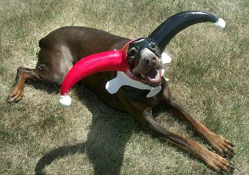 ???? ???? ??? ?, ‘?? ??’