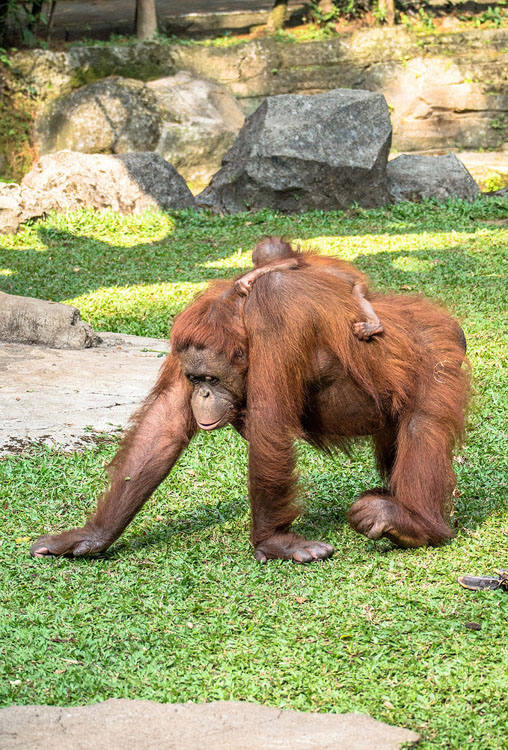 ?? ???! ?? ?? ?? ??? ?? ????