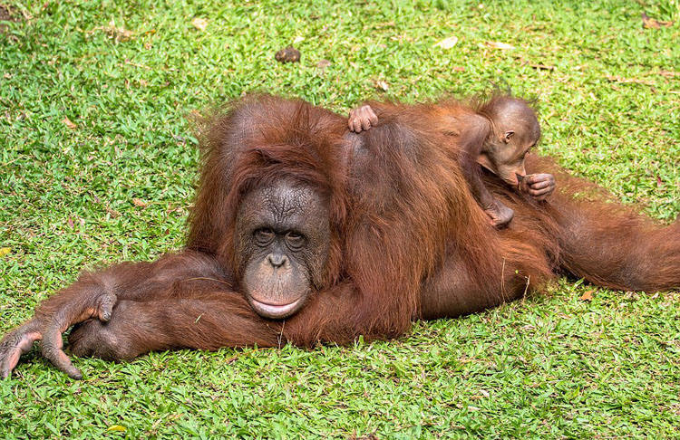 ?? ???! ?? ?? ?? ??? ?? ????