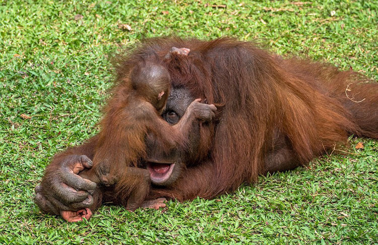 ?? ???! ?? ?? ?? ??? ?? ????