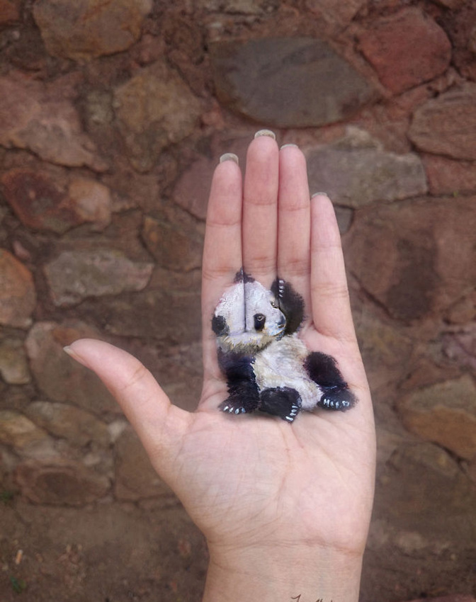 ????? ???????, ???? ??? 3D ??