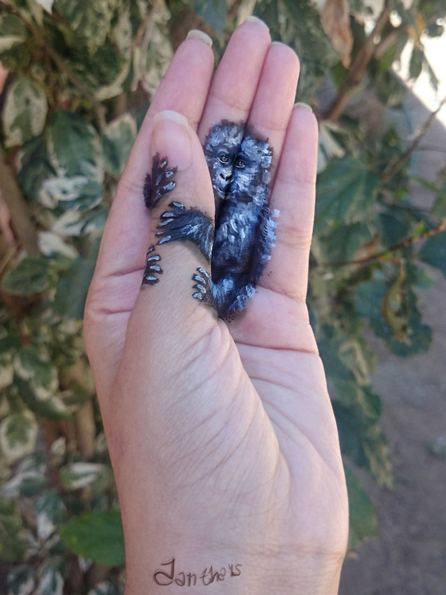 ????? ???????, ???? ??? 3D ??