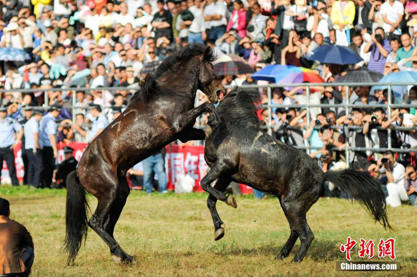 ?? ?? ??? ??, ?? ??? ? ???? ??