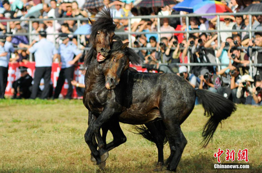 ?? ?? ??? ??, ?? ??? ? ???? ??