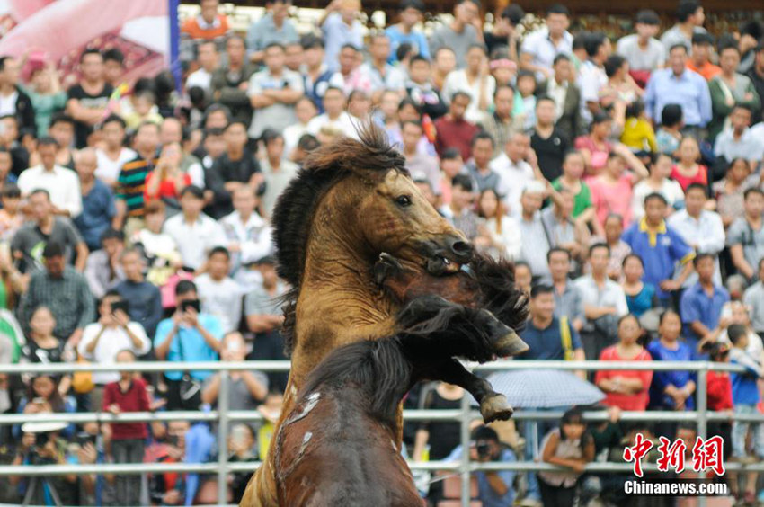 ?? ?? ??? ??, ?? ??? ? ???? ??