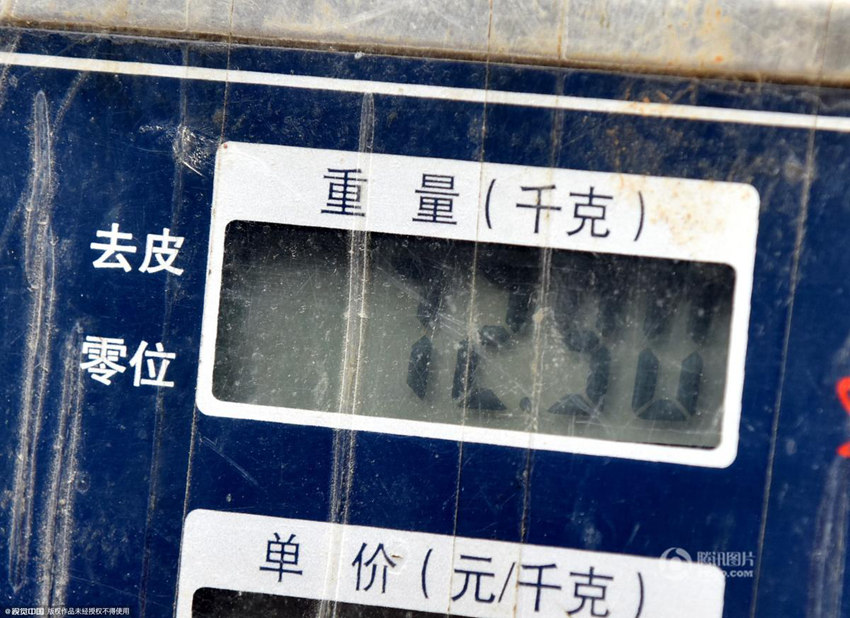 ?? ??? ?? ?? ???? 50? ?? ??