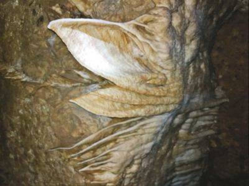 ??? ?? ?? ???? ??…??? ????