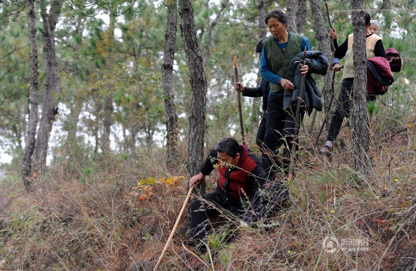 ??? ?? ???? 600?? ????? ?? ??