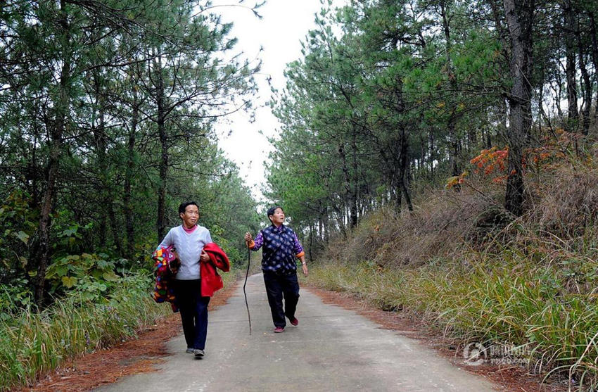 ??? ?? ???? 600?? ????? ?? ??