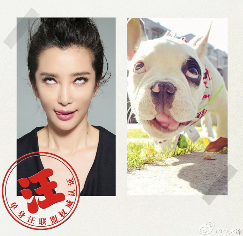 ???, ???? ???? 100% ?? ??…‘??’