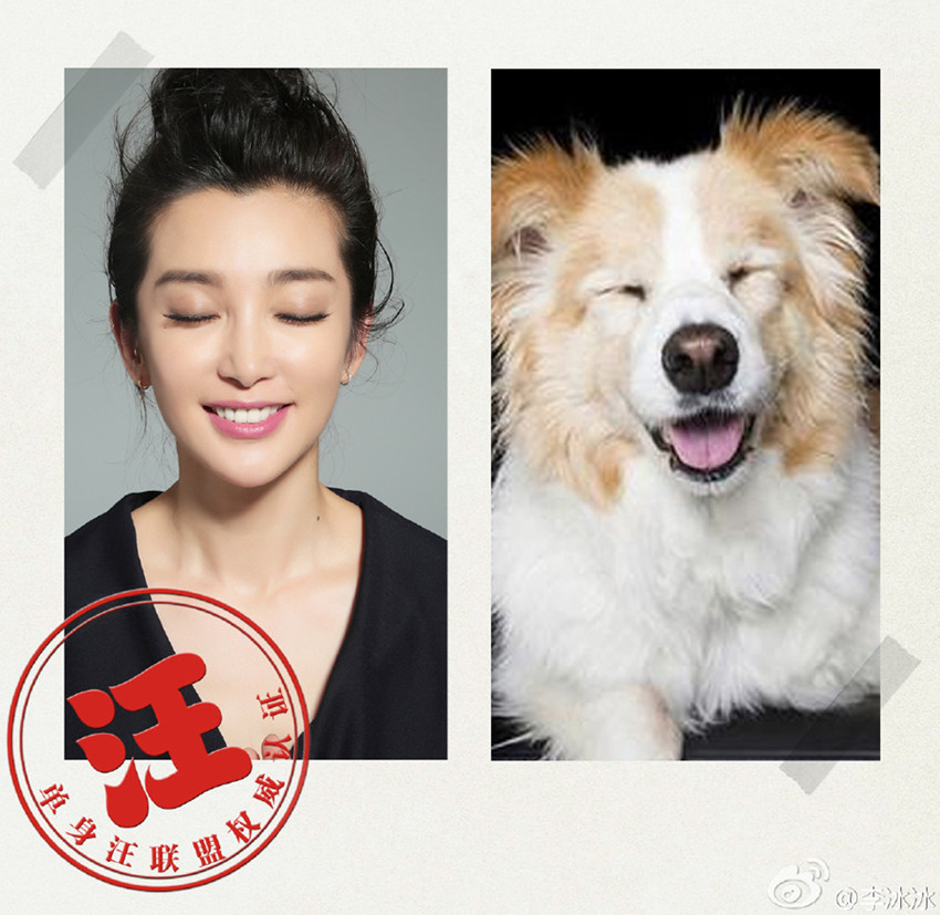 ???, ???? ???? 100% ?? ??…‘??’