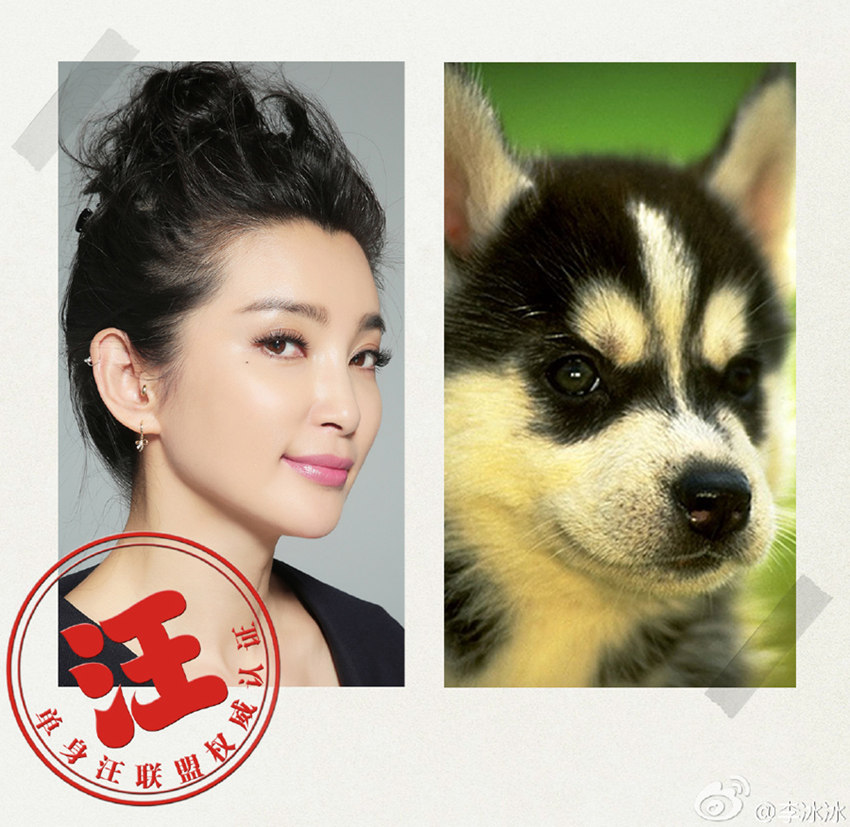 ???, ???? ???? 100% ?? ??…‘??’