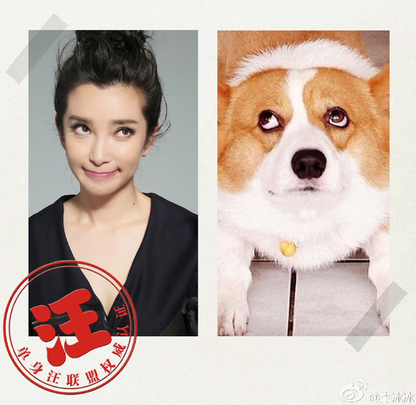 ???, ???? ???? 100% ?? ??…‘??’