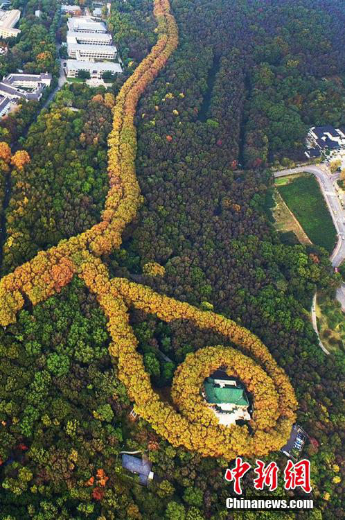 ???? ‘???’, ???? ??? ?? ????? ??