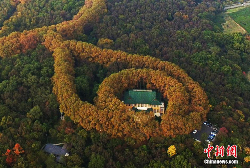 ???? ‘???’, ???? ??? ?? ????? ??