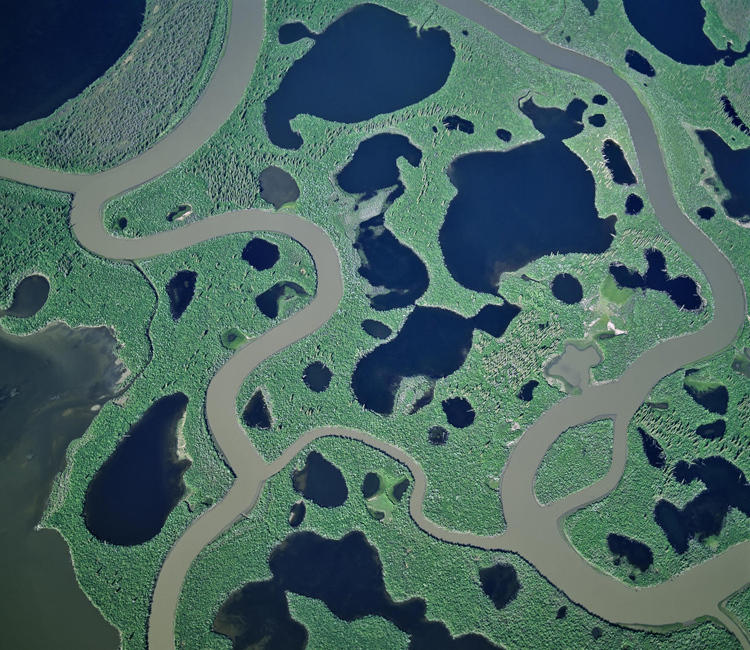 ????? ??? ???, ??? ??? ?? ??