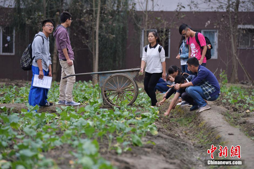 ?? ???? ‘????’? ?? ??, ???? ??