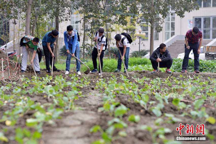 ?? ???? ‘????’? ?? ??, ???? ??