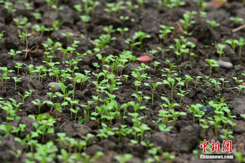 ?? ???? ‘????’? ?? ??, ???? ??