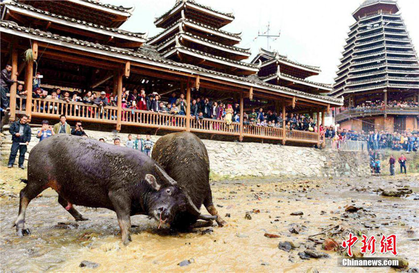 ?? ?? ????? ????? ‘??’ ?? ???