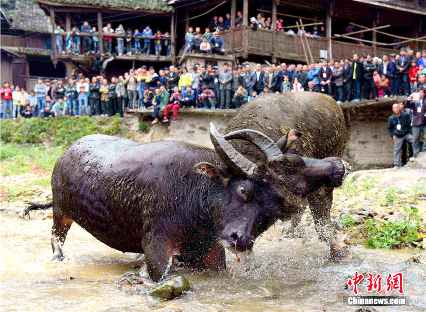 ?? ?? ????? ????? ‘??’ ?? ???