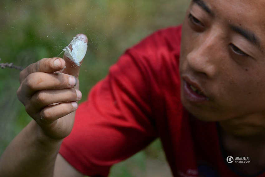 ?? ????? ??, ?? ??? ??? ??