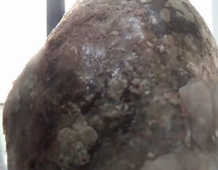 ??? ?? ??? 1kg ??, ?? ?? ?? ???