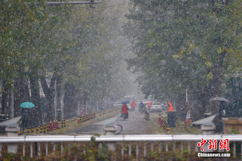 ??? ‘????’ ??, ??11℃ ?? ????