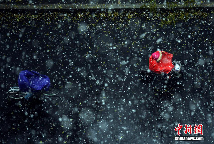 ??? ‘????’ ??, ??11℃ ?? ????