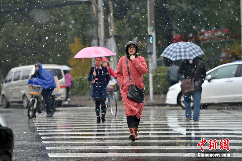 ??? ‘????’ ??, ??11℃ ?? ????