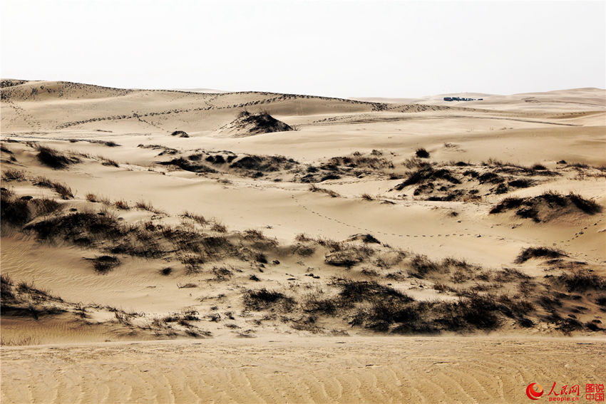 ?? ?? ?? ??, ???? ?? ??