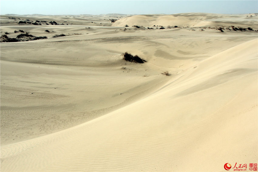 ?? ?? ?? ??, ???? ?? ??