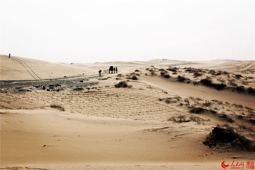 ?? ?? ?? ??, ???? ?? ??