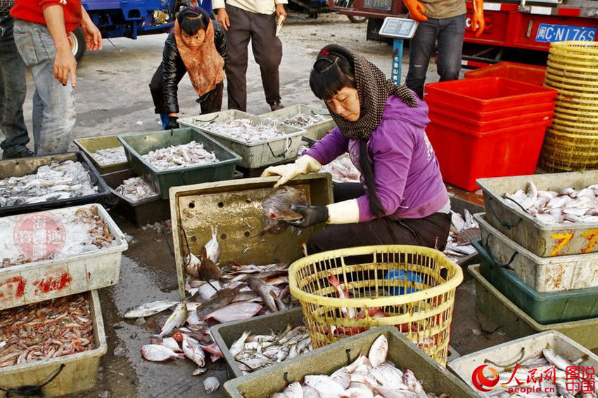 ?? ?? ??? '?????' ???? ????