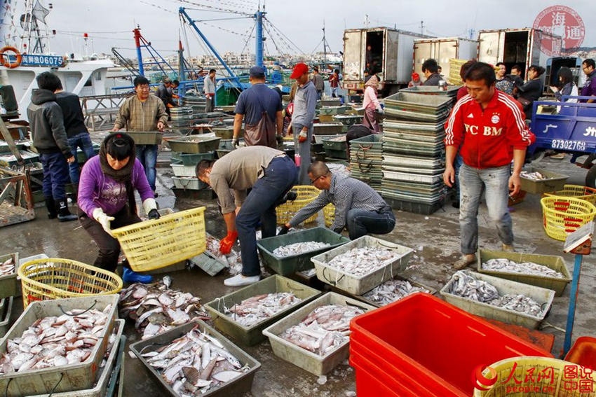 ?? ?? ??? '?????' ???? ????