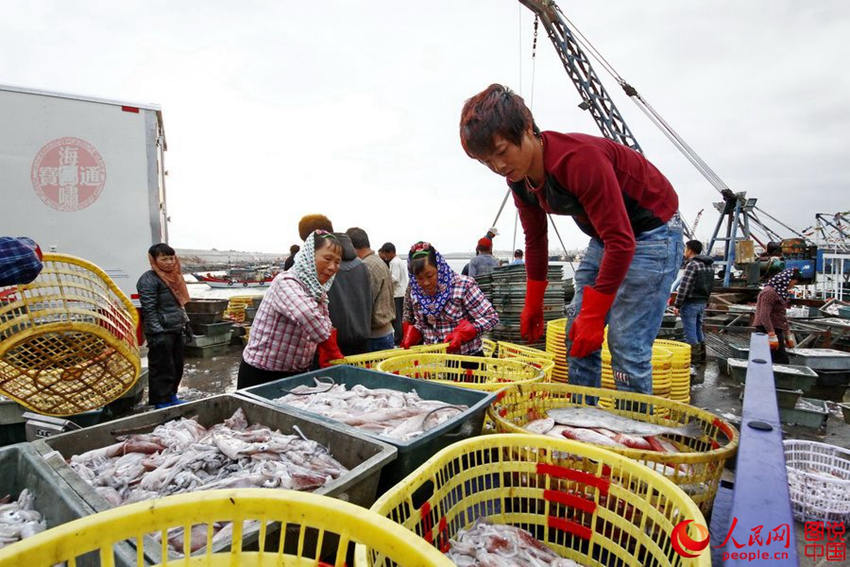 ?? ?? ??? '?????' ???? ????