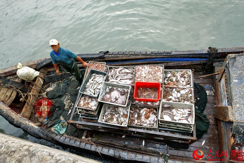 ?? ?? ??? '?????' ???? ????