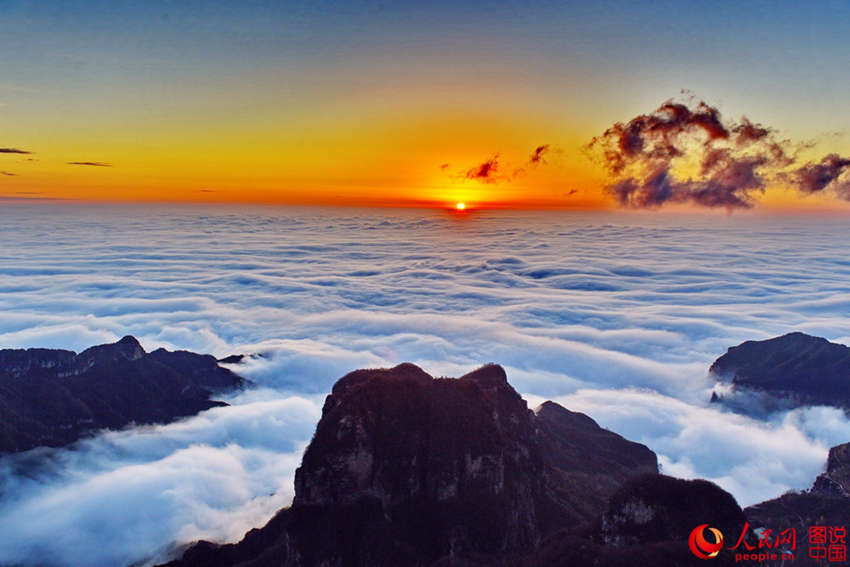 ???? ??? ??? ??, ?? ???? ????