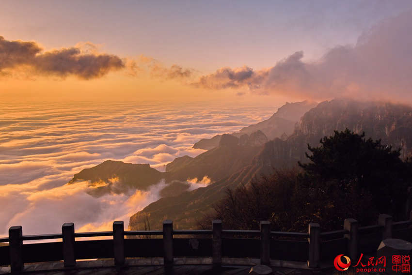 ???? ??? ??? ??, ?? ???? ????