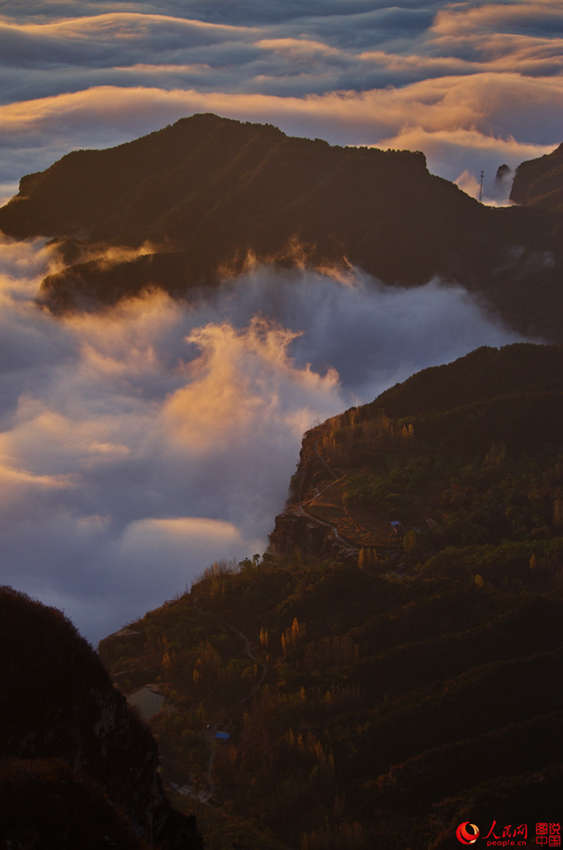 ???? ??? ??? ??, ?? ???? ????