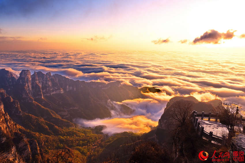 ???? ??? ??? ??, ?? ???? ????