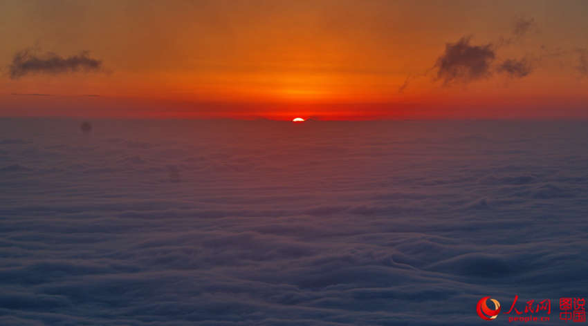 ???? ??? ??? ??, ?? ???? ????